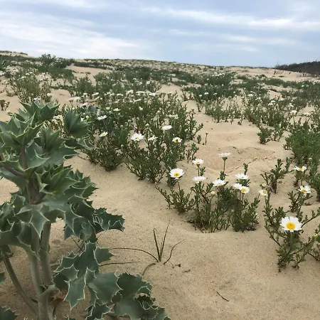 Jolie Petite Maison A Vieux Boucau Avec Piscine Chauffee - Domaine Du Golf De Pinsolle بيت للعطل *